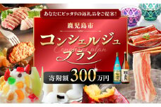 コンシェルジュプラン 寄付額300万円コース　K000-CP300