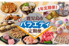 【1年定期便】鹿児島市バラエティ定期便　K000-T2317