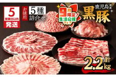 【 期間限定 生活応援 】【5営業日以内に発送】鹿児島県産黒豚お徳用 5種詰合せ(2.2kg)　K134-010_cp