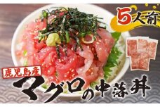 鹿児島産マグロの中落丼 5人前　K100-004