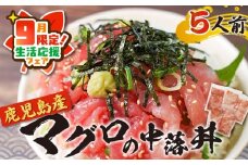 【 期間限定 生活応援 】鹿児島産マグロの中落丼 5人前　K100-004_cp