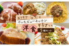 「おうちでウェルビューキッチン」洋食そうざい5種セット　K158-003