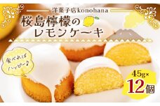 桜島檸檬のレモンケーキ　K236-001