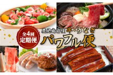 【全4回】鹿児島自慢牛・うなぎ「パワフル便」　K086-T12