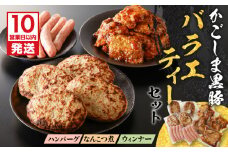 【10営業日以内に発送】鹿児島黒豚 バラエティーセット　K091-008