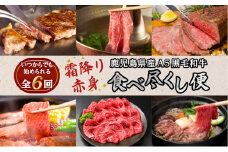 【全6回】〈いつからでも始められる〉鹿児島県産A5黒毛和牛霜降り・赤身食べ尽くし便　K086-T20