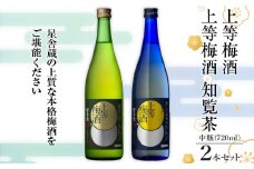  上等梅酒・上等梅酒 知覧茶 中瓶 2本セット　K204-003