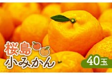 【2024年12月2日までの申込限定】桜島小みかん　K247-001