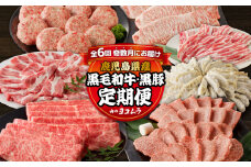 【全6回】「肉のヨコムラ」鹿児島県産 黒毛和牛・黒豚 定期便（奇数月にお届け）　K189-T01