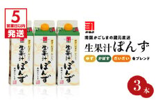 【5営業日以内に発送】 「かねよみそしょうゆ」南国かごしまの蔵元直送 ゆず・かぼす・だいだいをブレンド＜生果汁ぽんず＞3本セット　K058-010_01