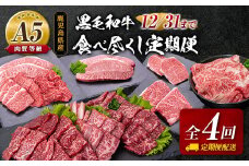 【全4回】A5等級！鹿児島県産黒毛和牛食べ尽くし定期便　K208-T03