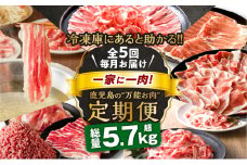 【全5回】一家に一肉！鹿児島の万能お肉定期便　K000-T2326