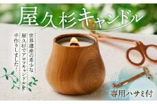 屋久杉キャンドル（専用ハサミ付）　K248-001