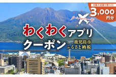 ふるさと納税わくわくアプリクーポン　寄付額10,000円　K257-001