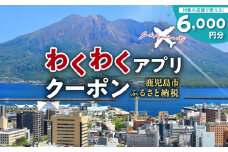 ふるさと納税わくわくアプリクーポン　寄付額20,000円　K257-002