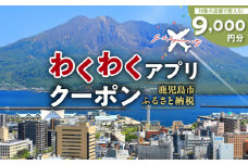 ふるさと納税わくわくアプリクーポン　寄付額30,000円　K257-003