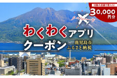 ふるさと納税わくわくアプリクーポン　寄付額100,000円　K257-010