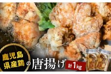 鹿児島県産鶏の唐揚げ　1kg　K199-001_01
