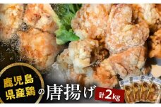 鹿児島県産鶏の唐揚げ　2kg　K199-001_02