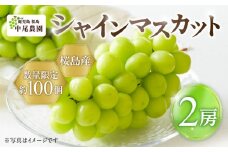 【2025年先行予約】【桜島産】シャインマスカット 2房　K261-001_02