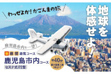 【昼間遊覧飛行】鹿児島市内コース セスナ式172型（大人3名まで）　K222-FT002