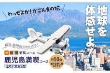 【昼間遊覧飛行】鹿児島満喫コース（桜島＋鹿児島市内） セスナ式172型（大人3名まで）　K222-FT003