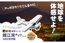 【夜間遊覧飛行】錦江湾ナイトコース セスナ式172型（大人3名まで）　K222-FT004