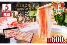 【 期間限定 生活応援 】【5営業日以内に発送】黒宝豚2種のどん薩摩の黄金だししゃぶしゃぶセット計600g　K227-003_01_cp