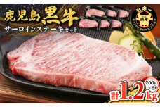 鹿児島黒牛サーロインステーキセット（計1.2kg）　K127-011