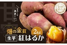 畑の金貨 生芋 紅はるか2kg　K181-004