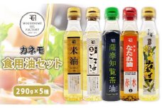 カネモ食用油セット（290g×5本セット）　K198-004
