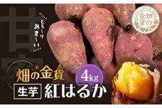 畑の金貨 生芋 紅はるか4kg　K181-006