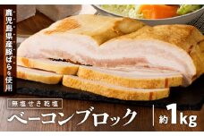 無塩せき乾塩ベーコンブロック 計約1kg　K161-020_01