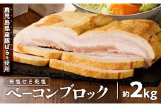 無塩せき乾塩ベーコンブロック 計約2kg　K161-020_02