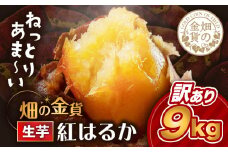 畑の金貨　生芋　訳あり紅はるか9kg　K181-007