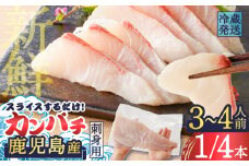 鹿児島産　スライスするだけ！カンパチ刺身用 1/4本 3～4人前　K100-006