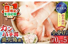 【 期間限定 生活応援 】鹿児島産　カンパチ丼　70g×5セット　K100-007_cp
