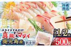 鹿児島産　スライスするだけ！真鯛（マダイ）刺身用 片身分 500g　K100-008