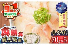 【 期間限定 生活応援 】鹿児島産　真鯛丼　70g×5セット　K100-009_cp