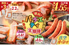 【全3回偶数月】バラエティ定期便　K161-T04