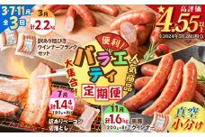 【全3回】バラエティ定期便（3・7・11月お届け）　K161-T05