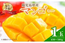 なくなり次第終了！【先行予約】マンゴー 1玉　K251-001