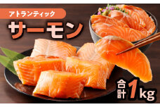 アトランティックサーモン 1kg　K008-009