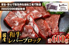 和牛レバーブロック600g（300g×2パック）　K002-040