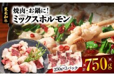 焼肉・お鍋に！ミックスホルモン750g（250g×3パック）　K002-005_01