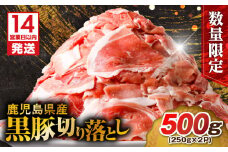 【14営業日以内に発送】【数量限定】鹿児島県産 黒豚切り落とし 500g　K025-001_01