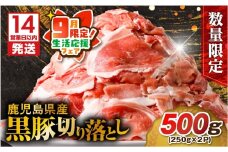 【 期間限定 生活応援 】【14営業日以内に発送】【数量限定】鹿児島県産 黒豚切り落とし 500g　K025-001_01_cp