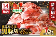 【 期間限定 生活応援 】【14営業日以内に発送】 【数量限定】鹿児島県産 黒豚切り落とし 1kg　K025-001_02_cp