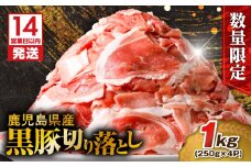 【14営業日以内に発送】 【数量限定】鹿児島県産 黒豚切り落とし 1kg　K025-001_02