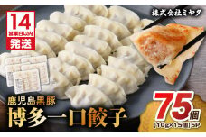 【14営業日以内に発送】 鹿児島黒豚博多一口餃子 75個　K025-009_01